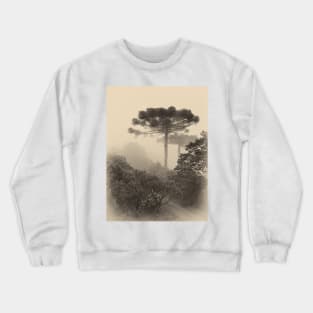 Misty morning in the canyons Crewneck Sweatshirt